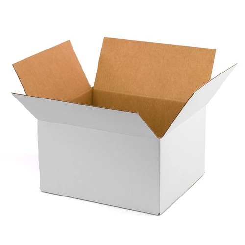 Regular Slotted Cartons (RSCs)